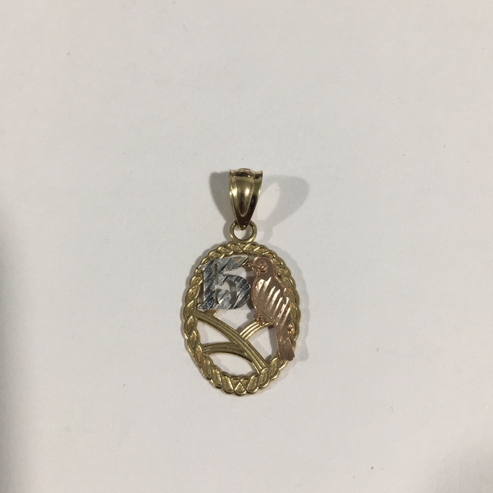 14k Tri Color Gold Sweet 15 Charm With Bird 🐦